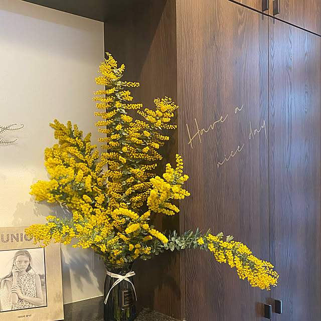 フラワーベース ミモザの花のおすすめ商品とおしゃれな実例 フラワーベース ミモザの花のおすすめ商品とおしゃれな実例