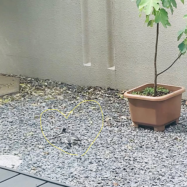 An50さんの実例写真