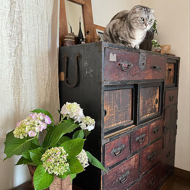 kuuさんの実例写真