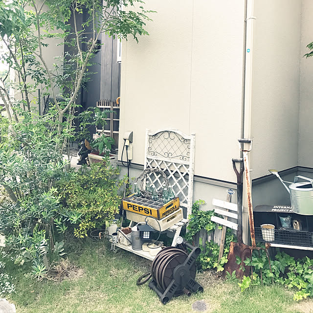 mayさんの実例写真