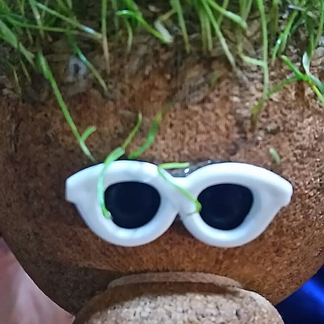 kazuminさんの実例写真