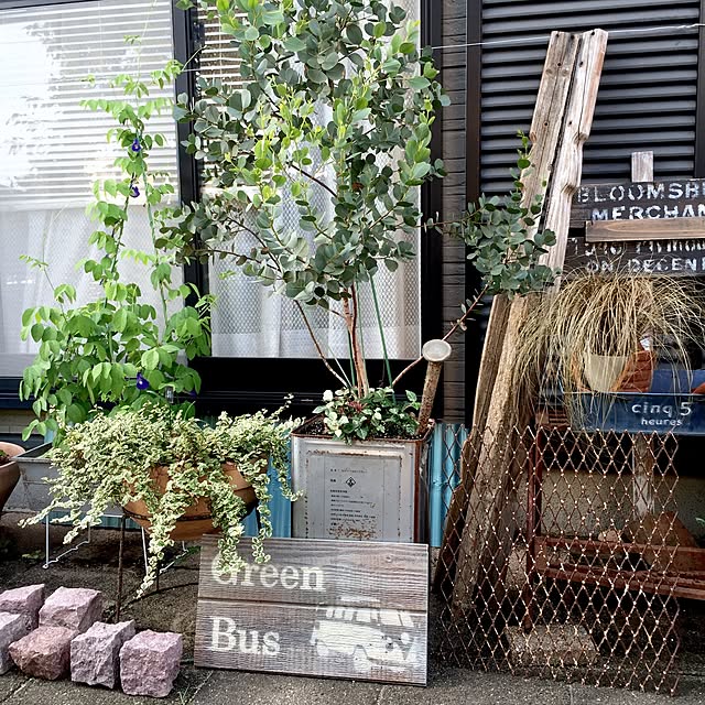 bibianさんの実例写真