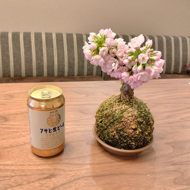anzuさんの実例写真