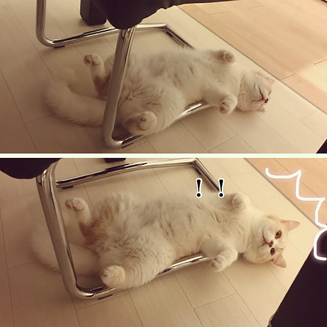 H.Tさんの実例写真