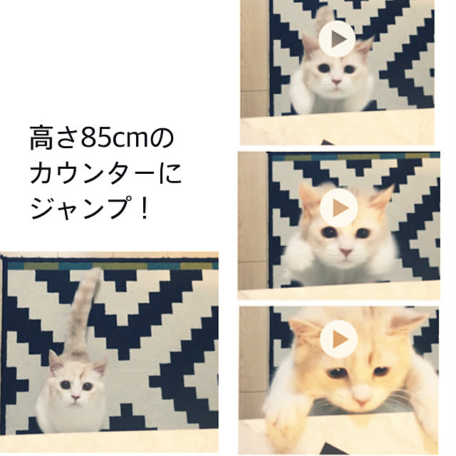 H.Tさんの実例写真