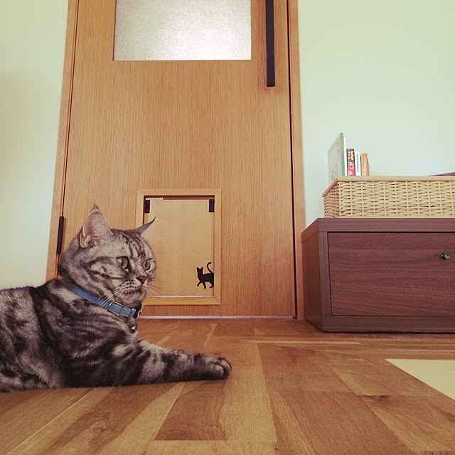 mi--さんの実例写真