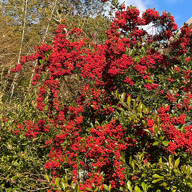 Andaluciaさんの部屋