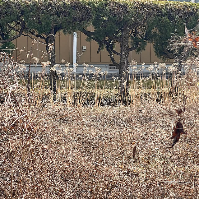 mamanさんの部屋