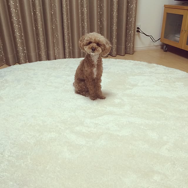 amoさんの実例写真