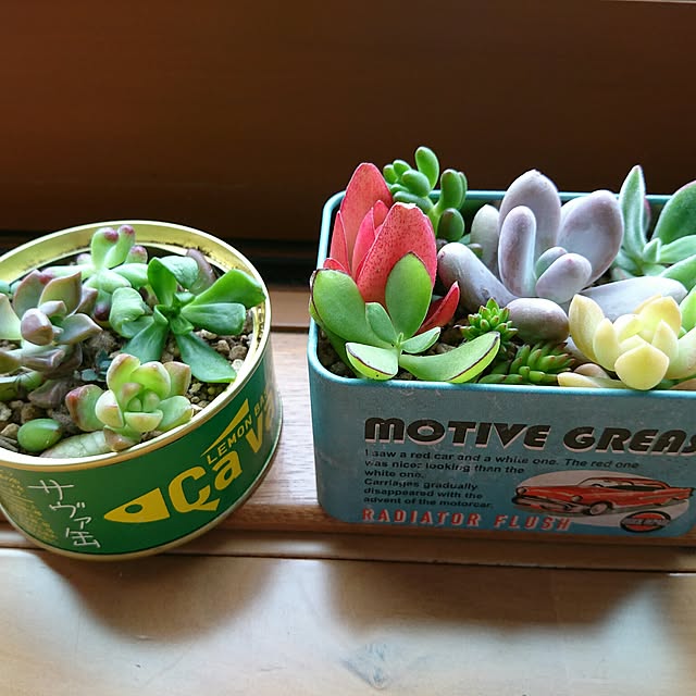 実例写真