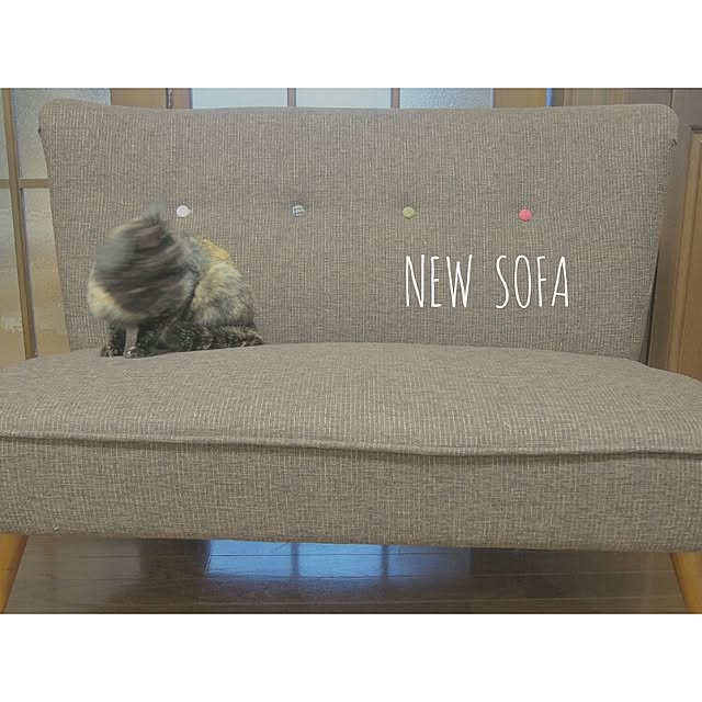 Ryoさんの実例写真