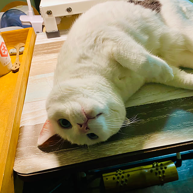 YUKAさんの部屋