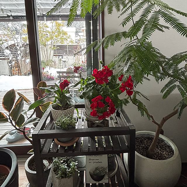 maimai0110さんの実例写真