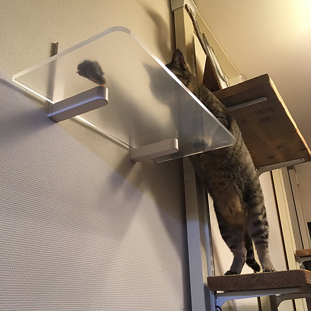 mikomaruさんの実例写真