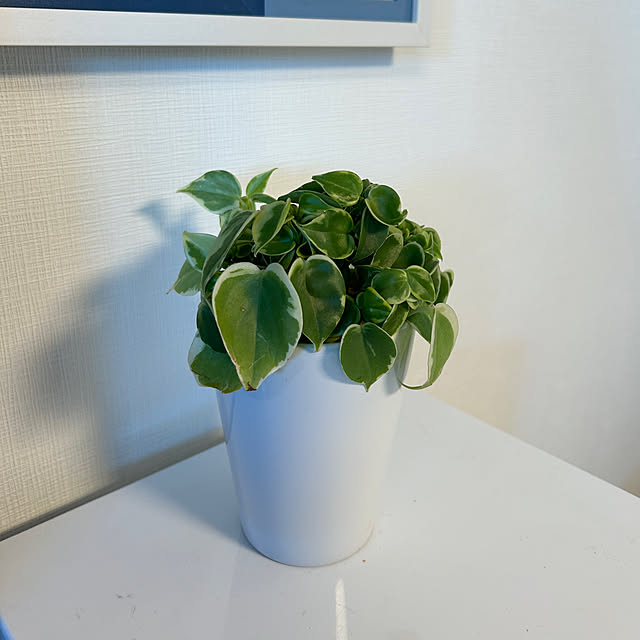 kananaさんの部屋