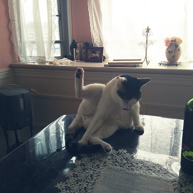 sakuraさんの実例写真