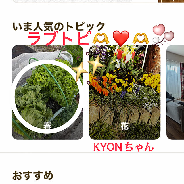 ritsukoさんの実例写真