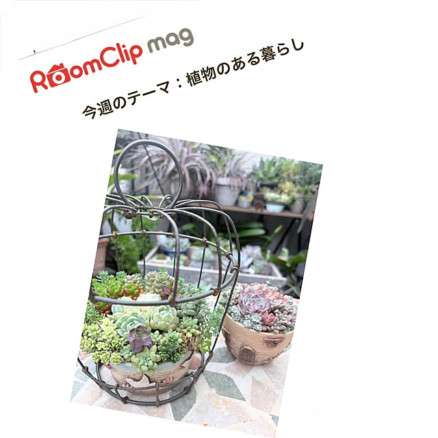 実例写真