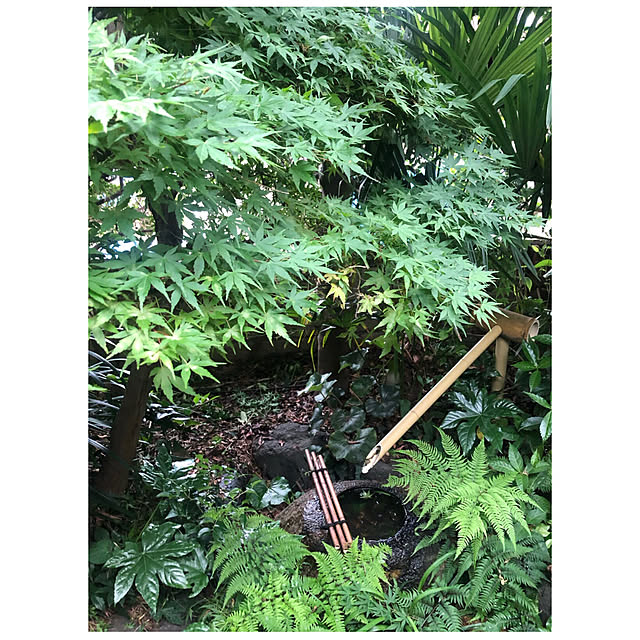riettaさんの実例写真