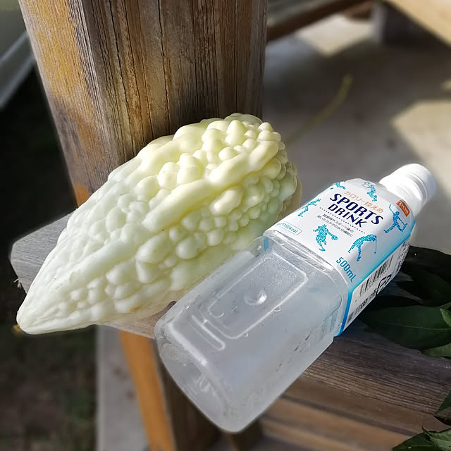 hm99さんの実例写真