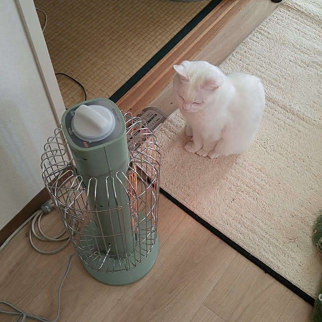 chiaki0311さんの実例写真