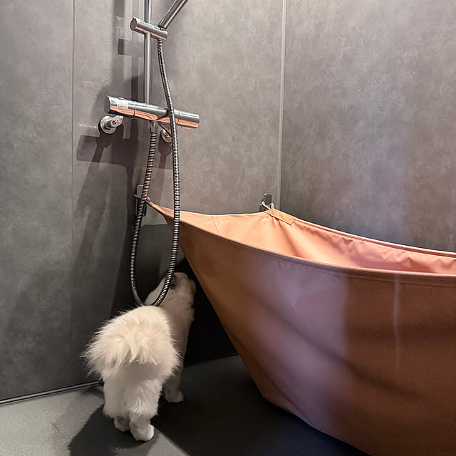 puffloveさんの実例写真