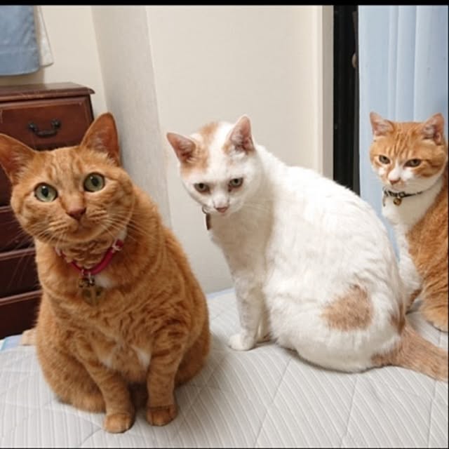 NOAHさんの部屋
