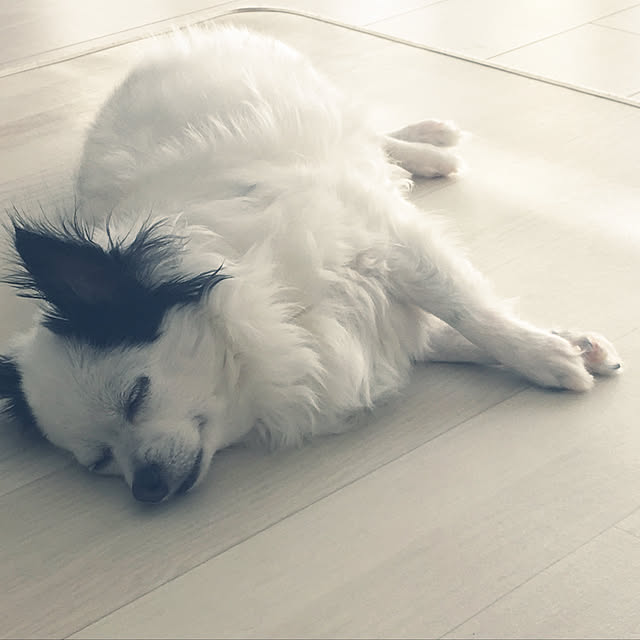 ohanaさんの実例写真