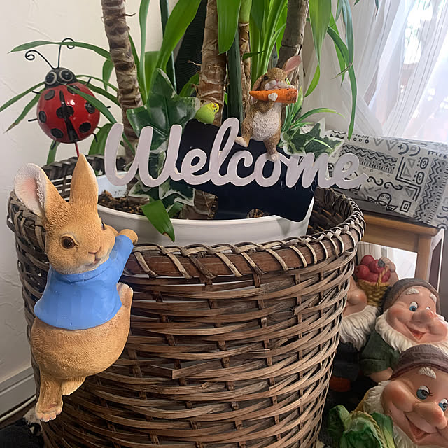 Aqettyさんの部屋