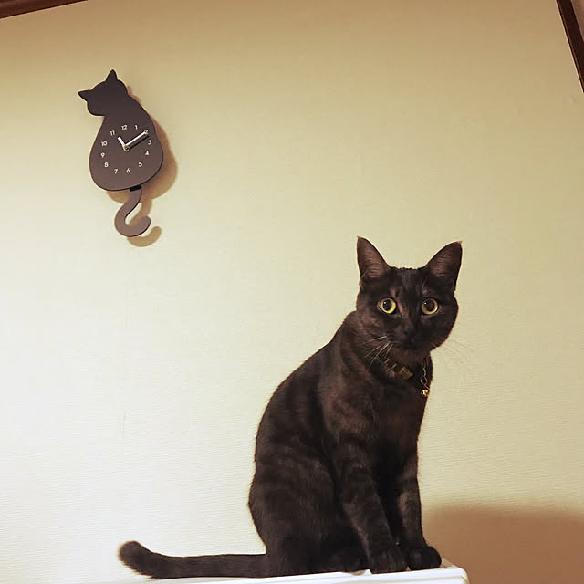 tommysobacさんの実例写真