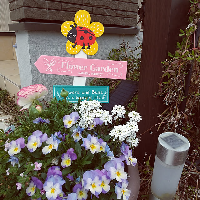 clover2018さんの実例写真