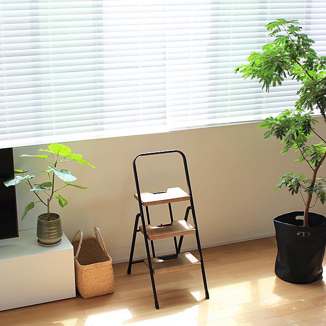 観葉植物/IKEA/ブランド/スキップフロア/北欧家具...などのインテリア実例 - 2020-09-22 20:27:06