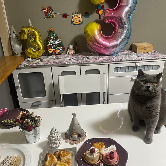 kittyさんの実例写真