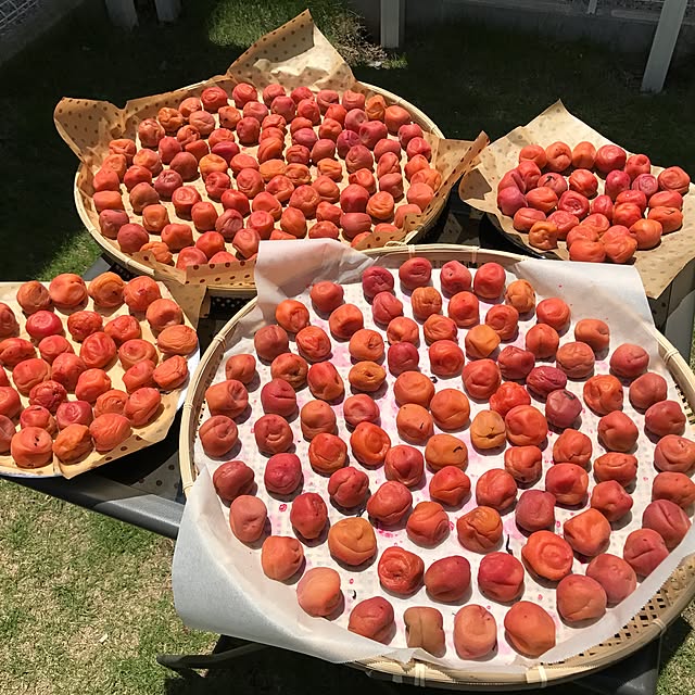 fujiitigoさんの実例写真