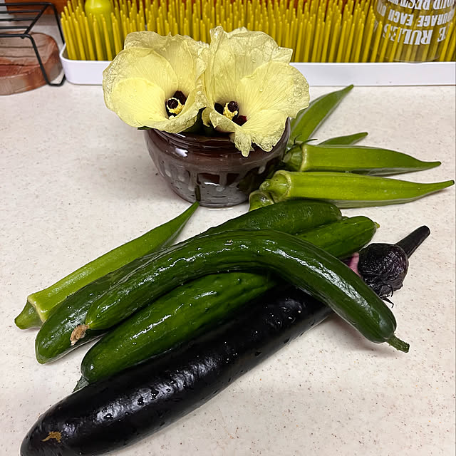 jijiさんの実例写真