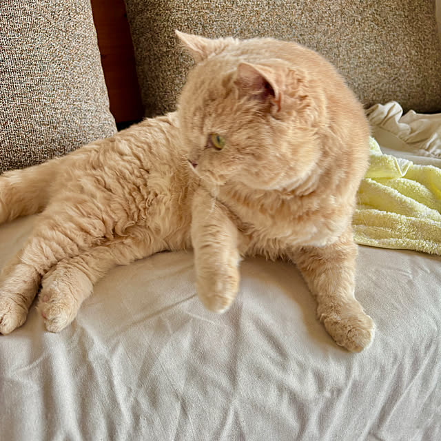 naokoさんの部屋