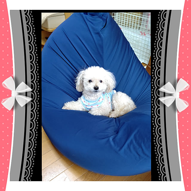 yumirinさんの実例写真