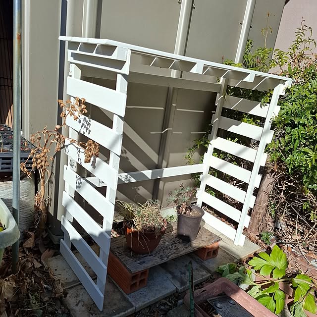 midoriさんの部屋