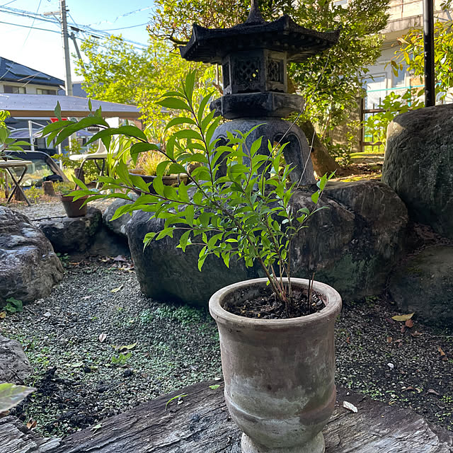 shin0719さんの実例写真