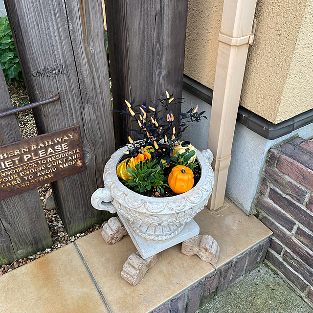 yumiさんの部屋