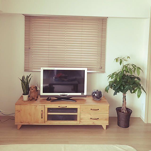 ブラインド 木製/テレビボード/RoomClipアンケート/観葉植物/リビングのインテリア実例 - 2019-10-15 09:18:37