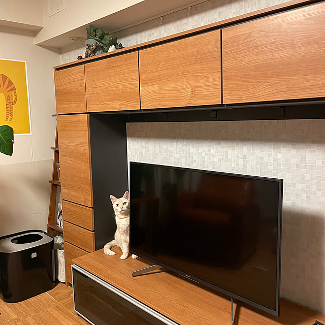 hiyupan88さんの実例写真