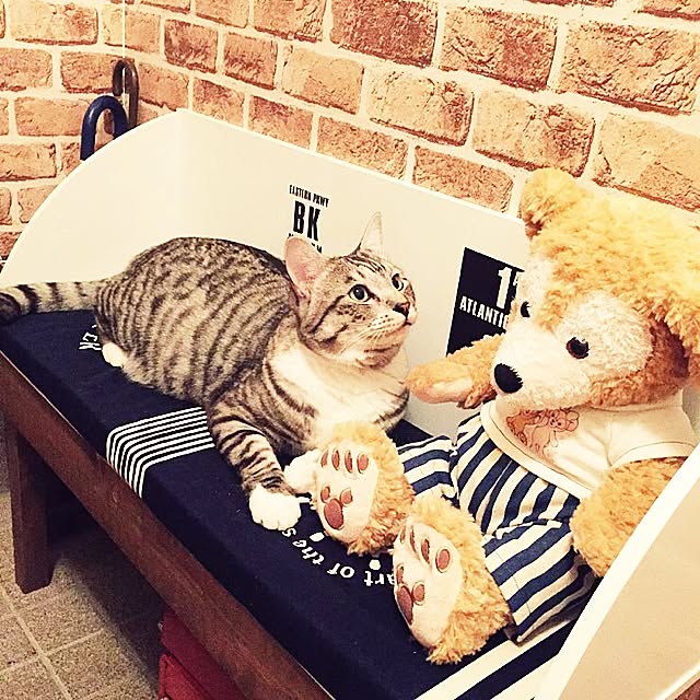Manamiさんの実例写真