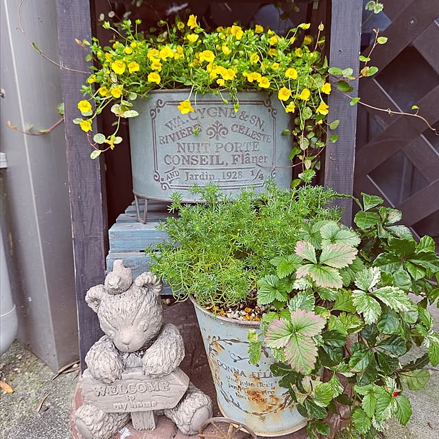 mocomocoさんの実例写真