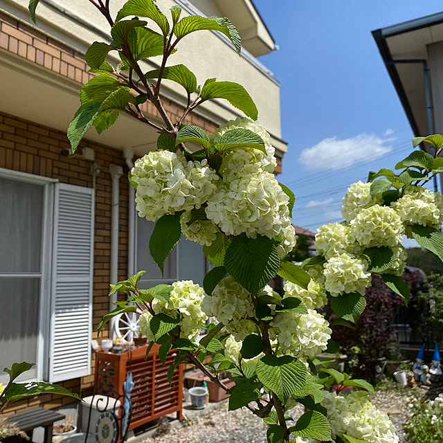 chIoeさんの部屋