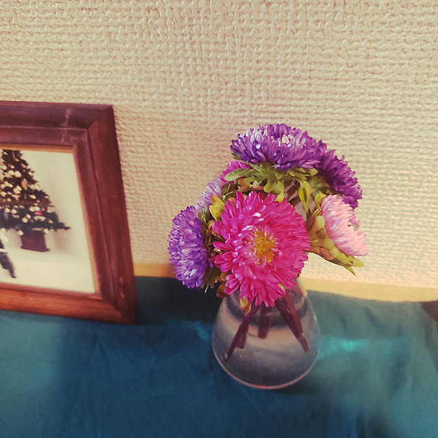 shishishi24koさんの実例写真