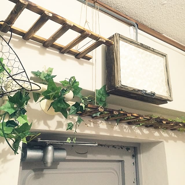 osakanaさんの実例写真