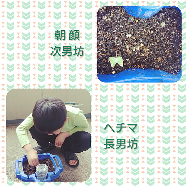 ToReTaRiさんの実例写真