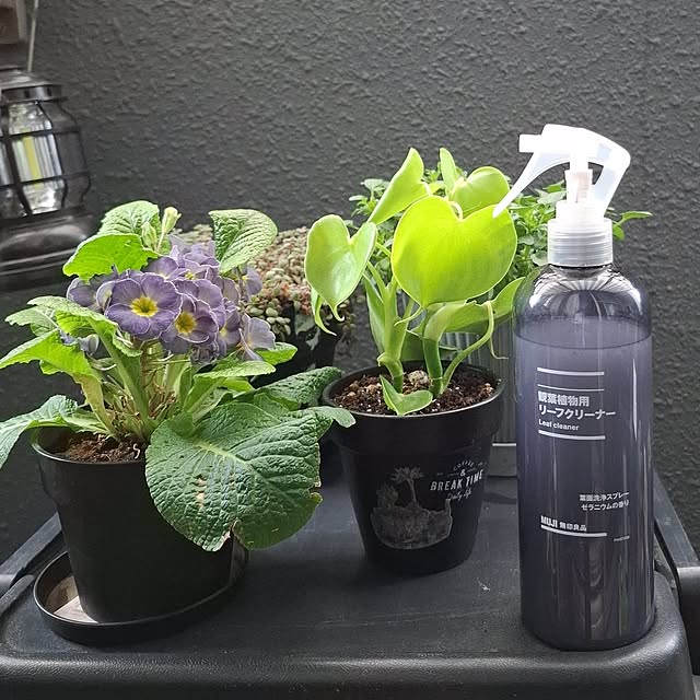 noaさんの実例写真