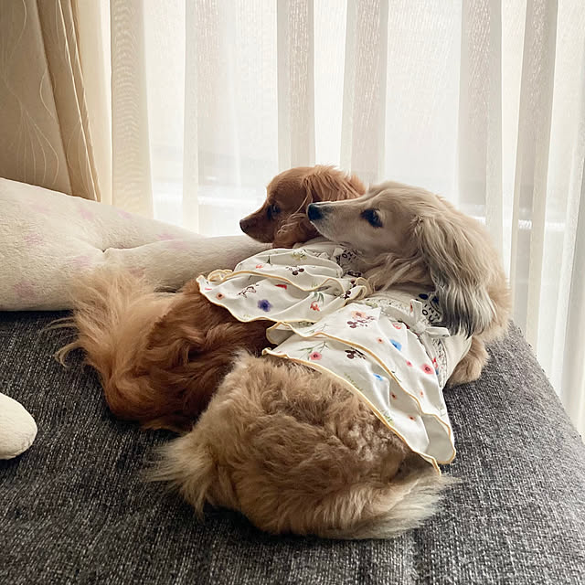 chachamamaさんの部屋